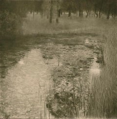 The Swamp by Gustav Klimt, Das Werk lifetime landscape collotype, 1908-1912