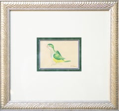 "Monk Parakeet" Eva Peron Mural Sketch