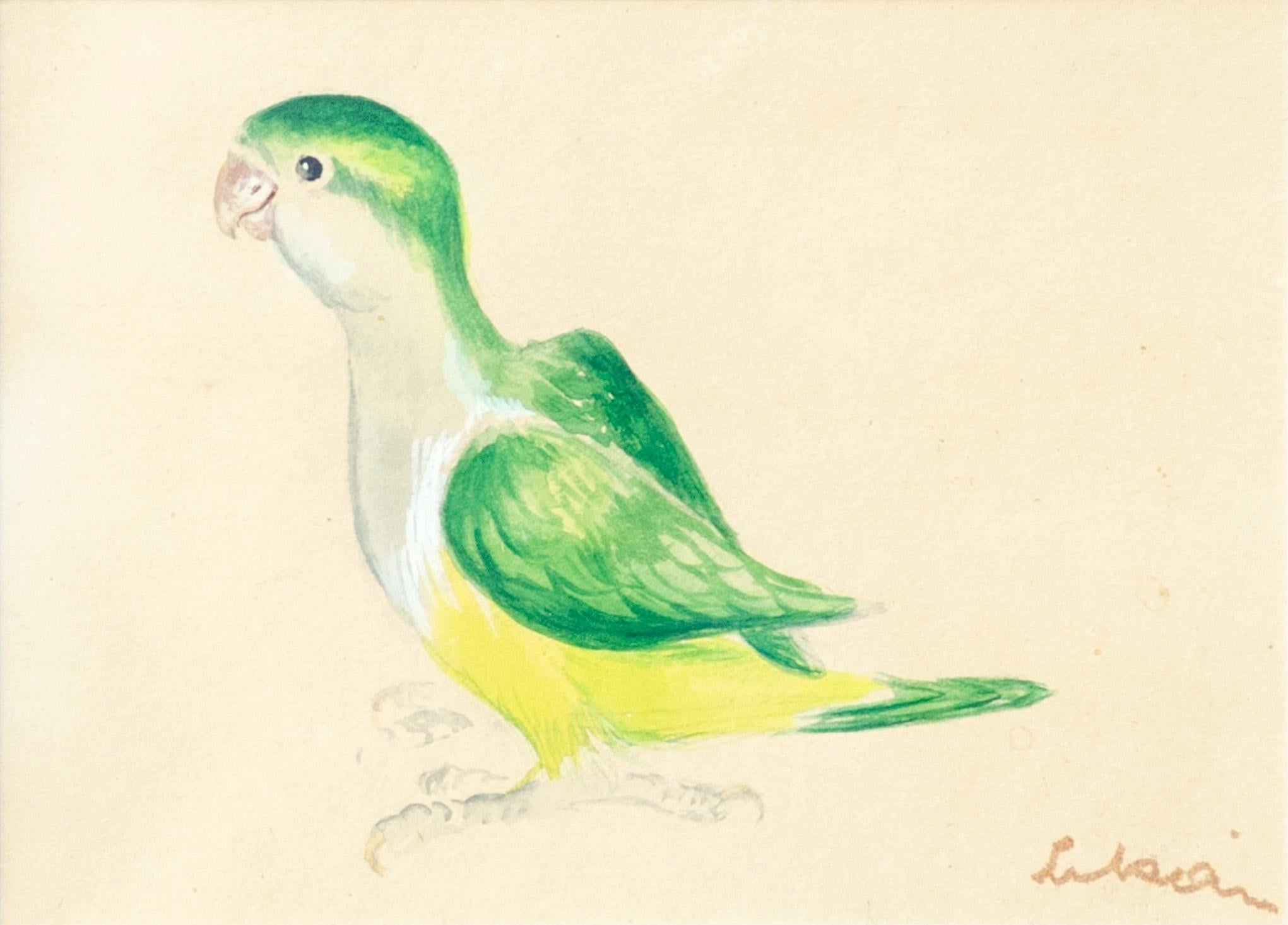 Gustav Likan Animal Painting - "Monk Parakeet" Eva Peron Mural Sketch