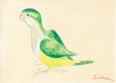 Vintage "Monk Parakeet" Eva Peron Mural Sketch