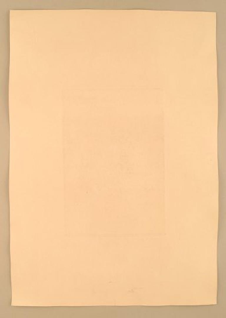 Gustav V. Blom, Portrait of Peter Ilsted, 1919, Test Print For Sale 1