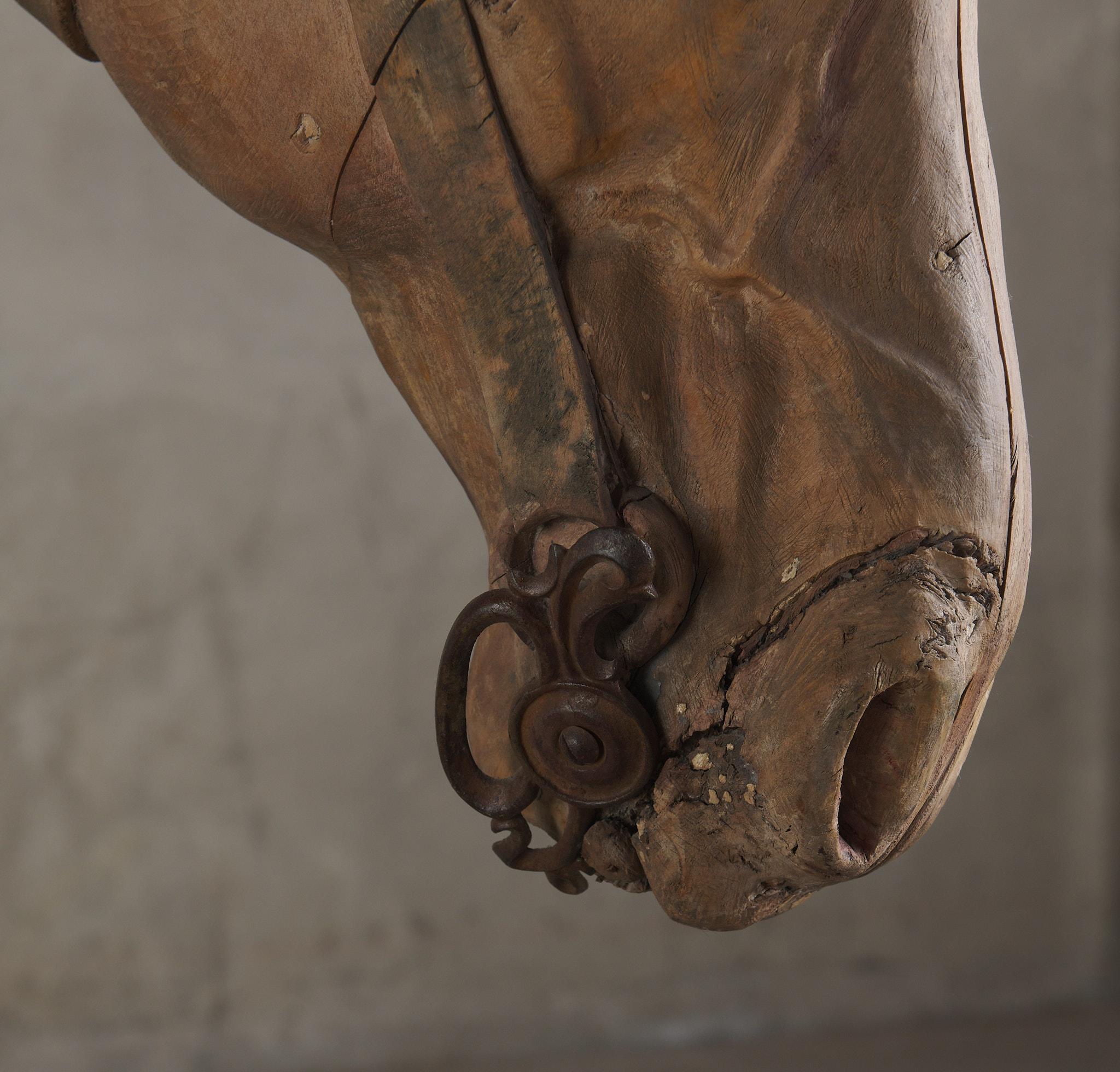 Gustave Bayol Carved Lifesize Wood Nodding Donkey, C1900 2