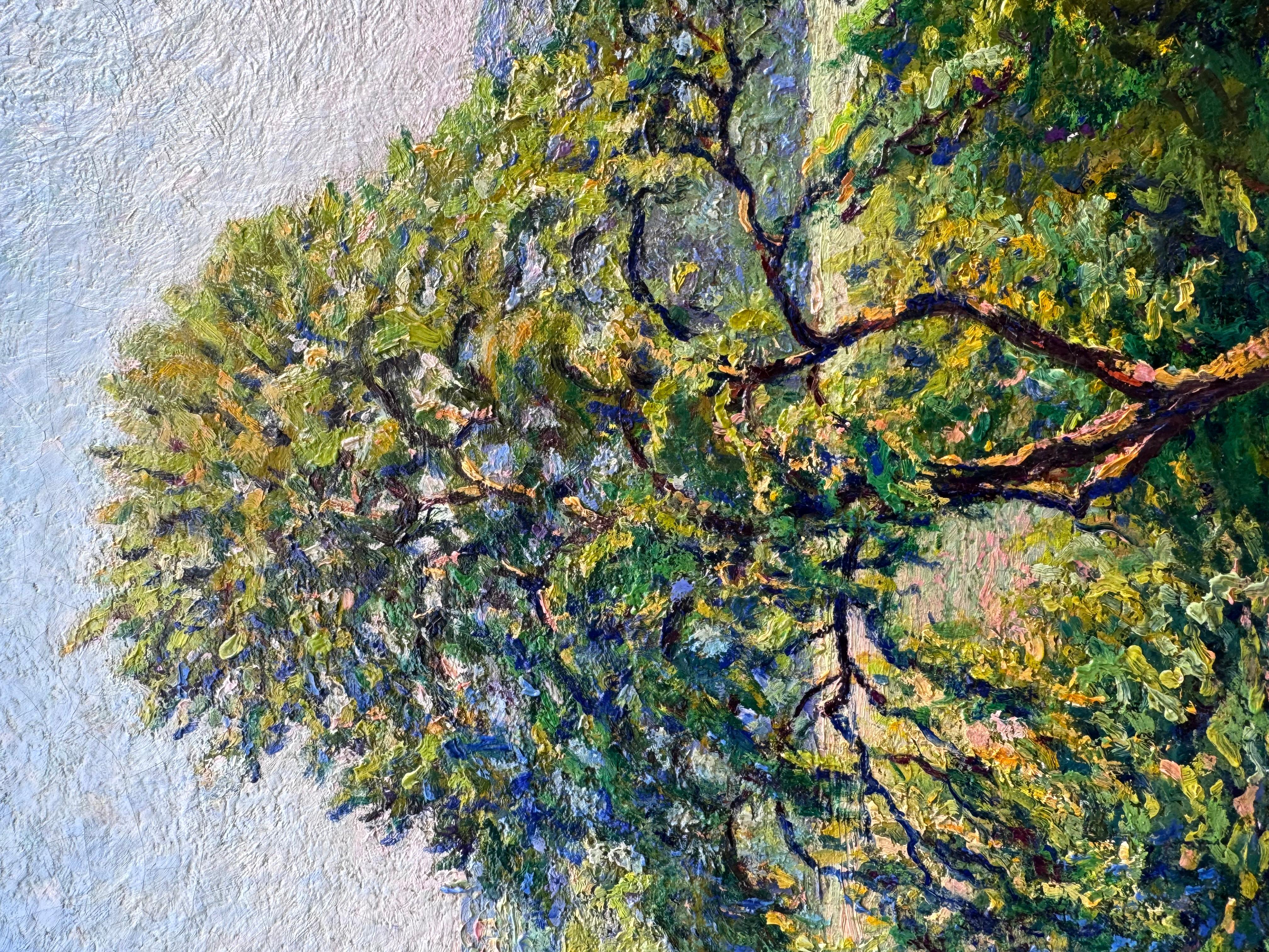 Meule Ensoleillé en venta 3