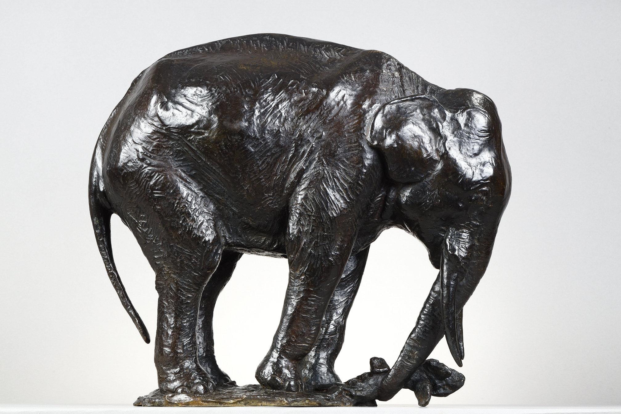 Elephant pulling out a tree trunk For Sale 6