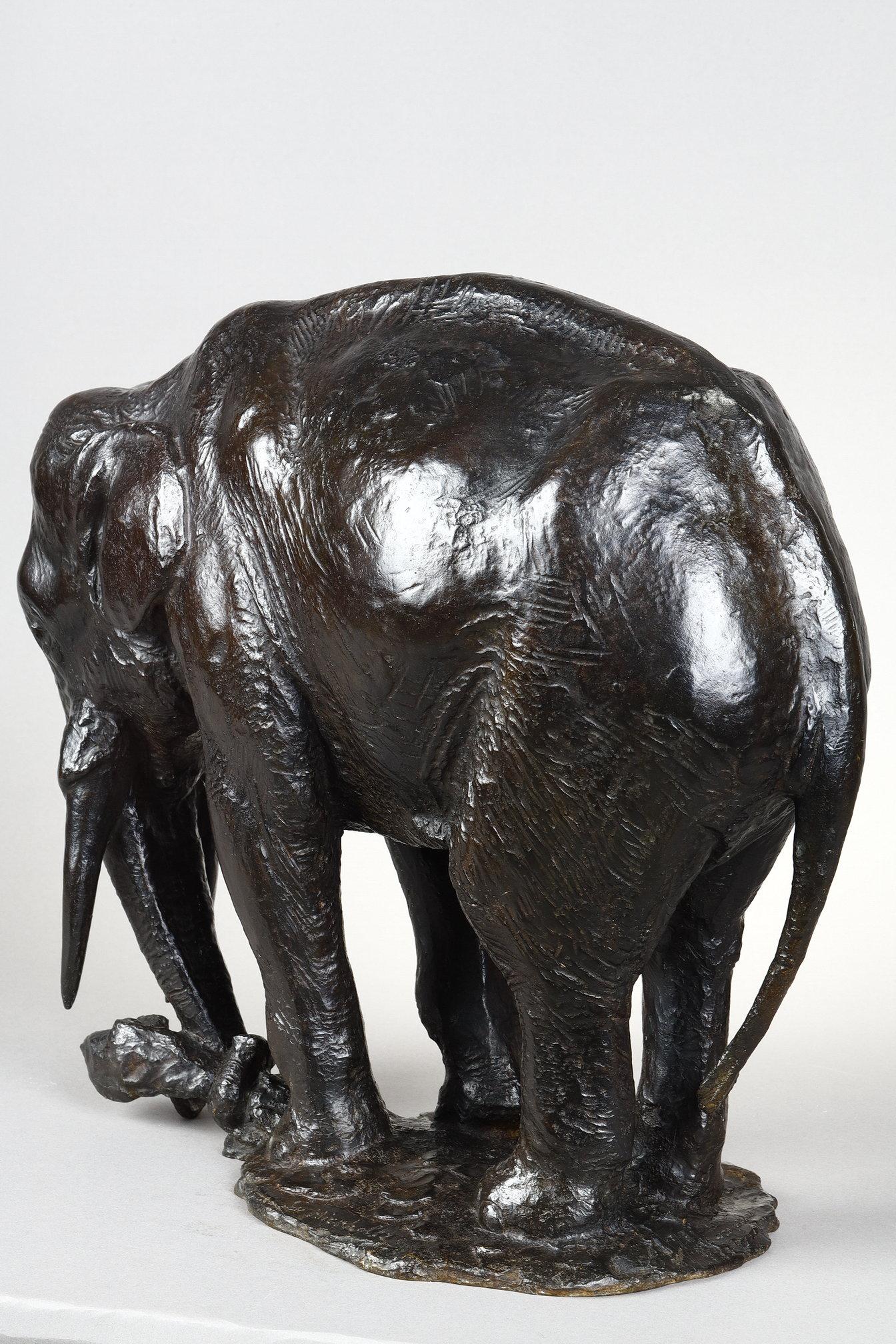 Elephant pulling out a tree trunk For Sale 10