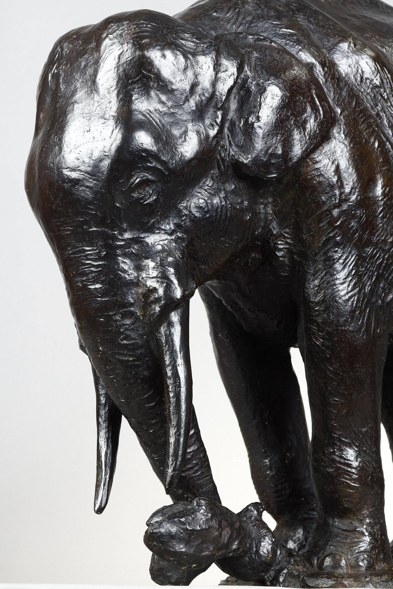Elephant pulling out a tree trunk
by Gustave HIERHOLTZ (1877-1954)

Bronze with a nuanced dark brown patina
signed on the base 