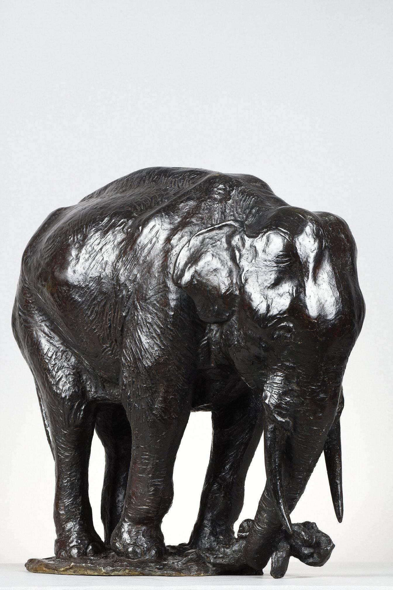 Elephant pulling out a tree trunk For Sale 3