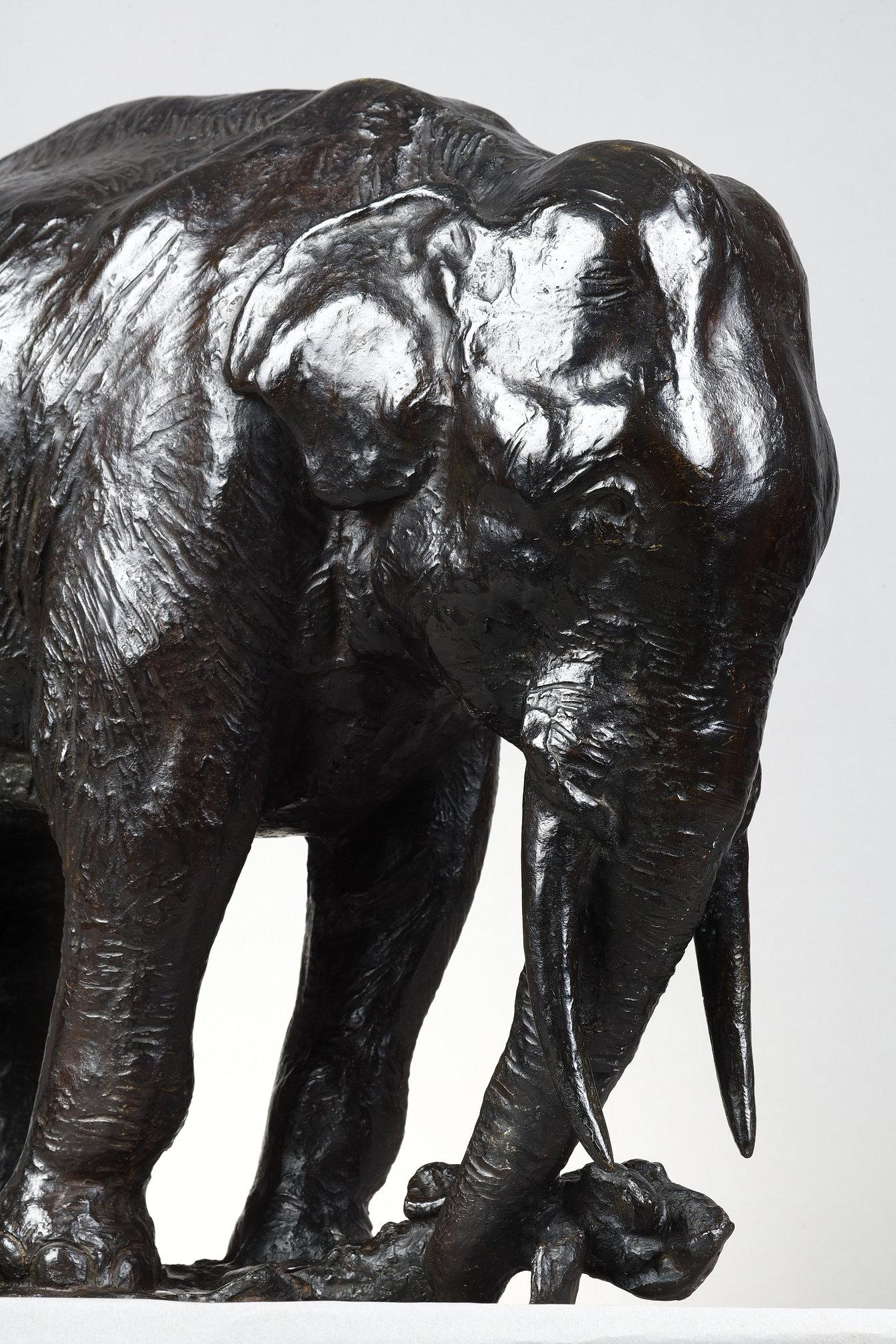 Elephant pulling out a tree trunk For Sale 4
