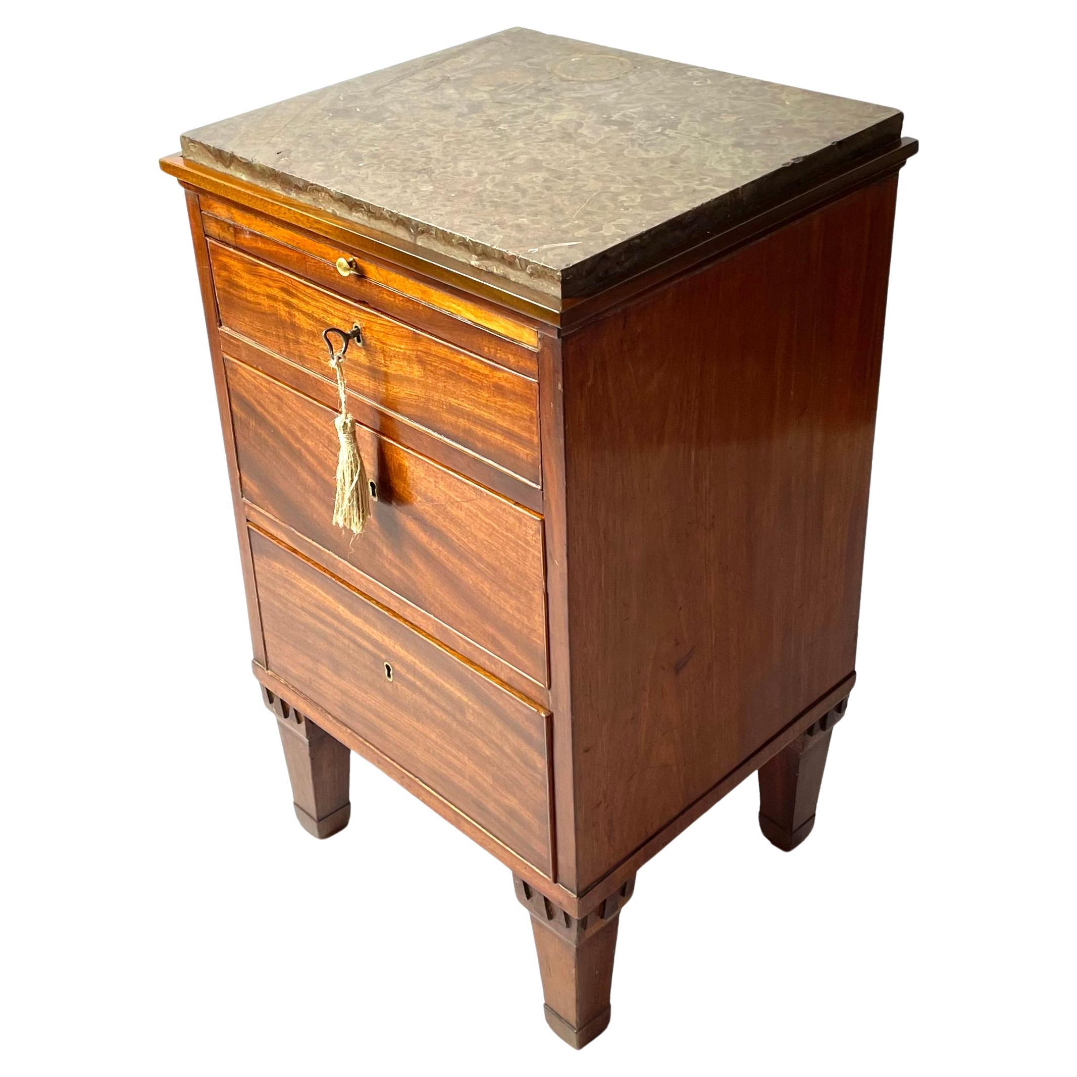Gustavian Chest of drawers in mahogany with Limestone top with fossils, 1790s For Sale