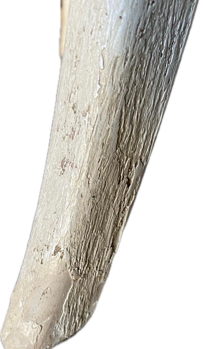 Sedie da pranzo Gustavian Klismos di Nierman Weeks, set di 8 pezzi in vendita 5