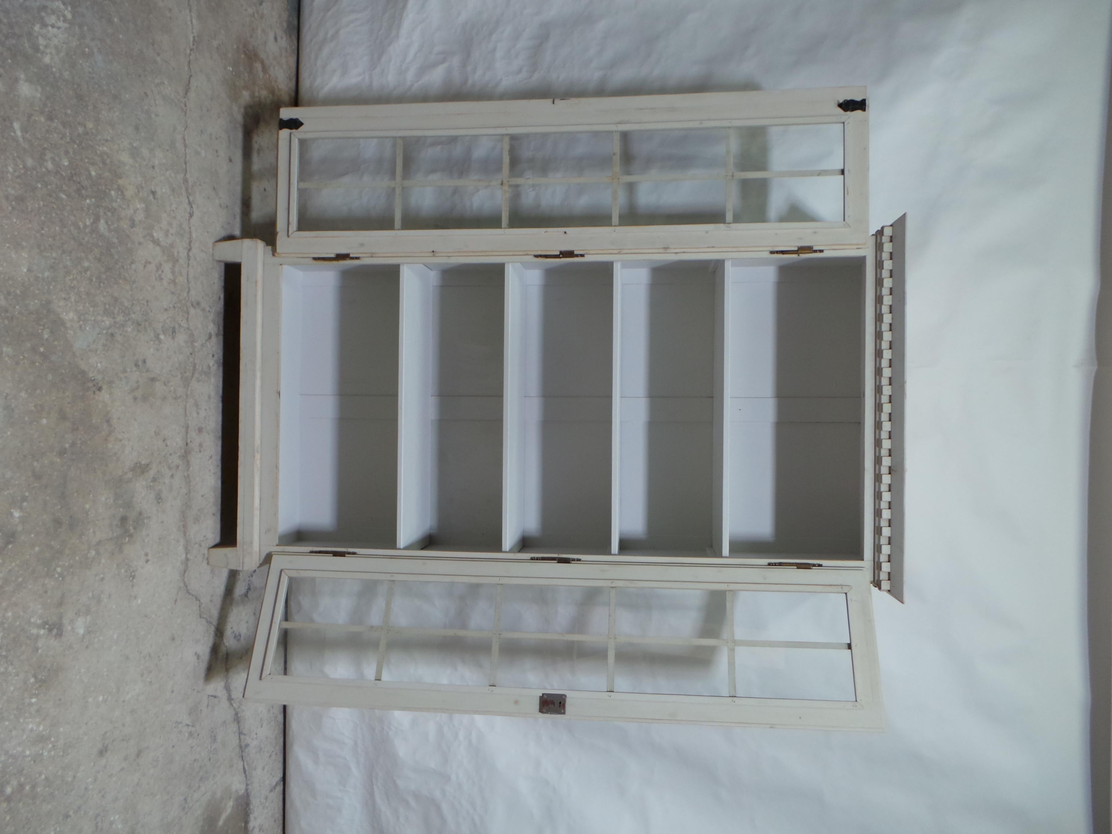 Gustavian Style 2 door display cabinet / Vitrine 1