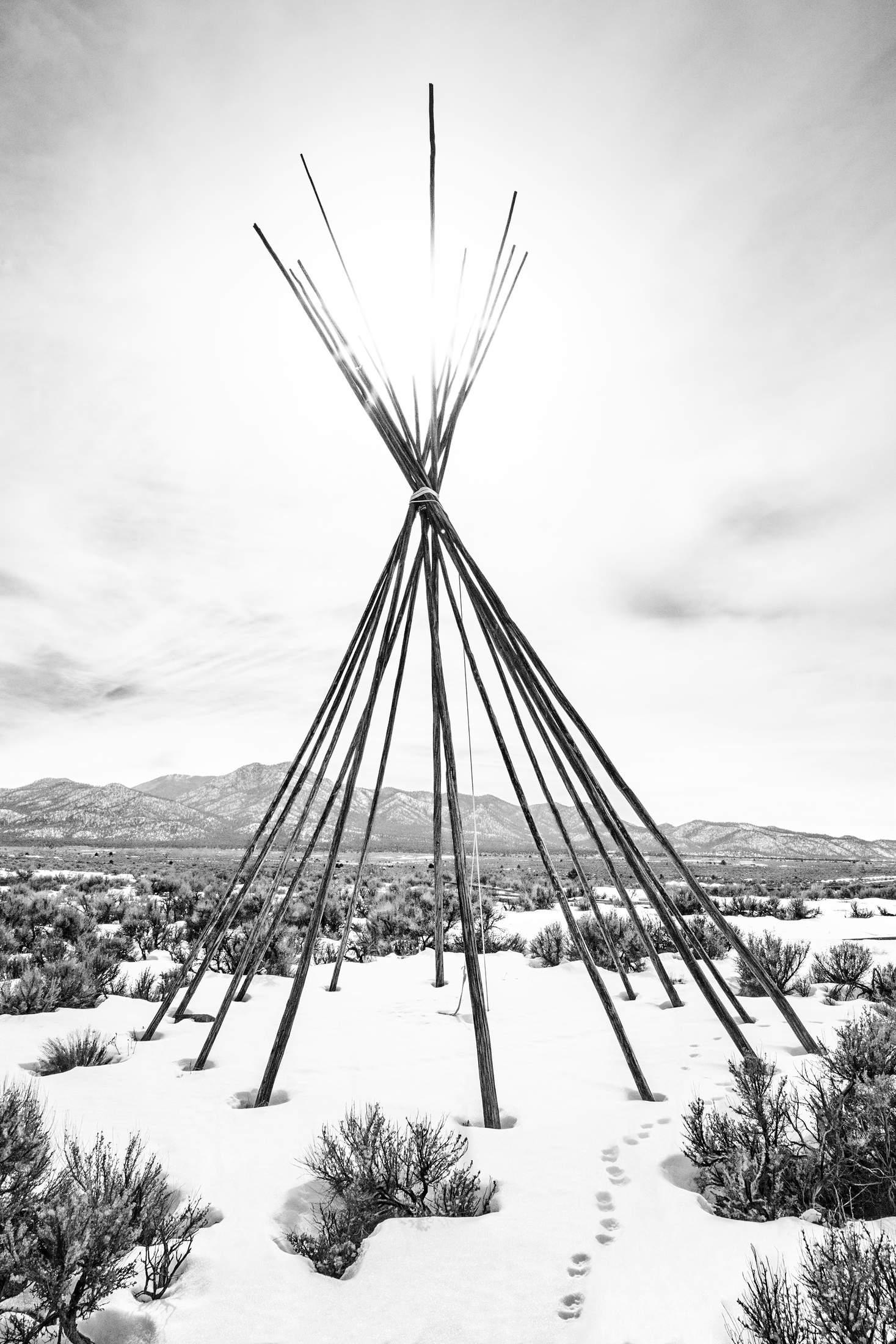 Black and White Photograph de Gustavo Ten Hoever - Oso Negro