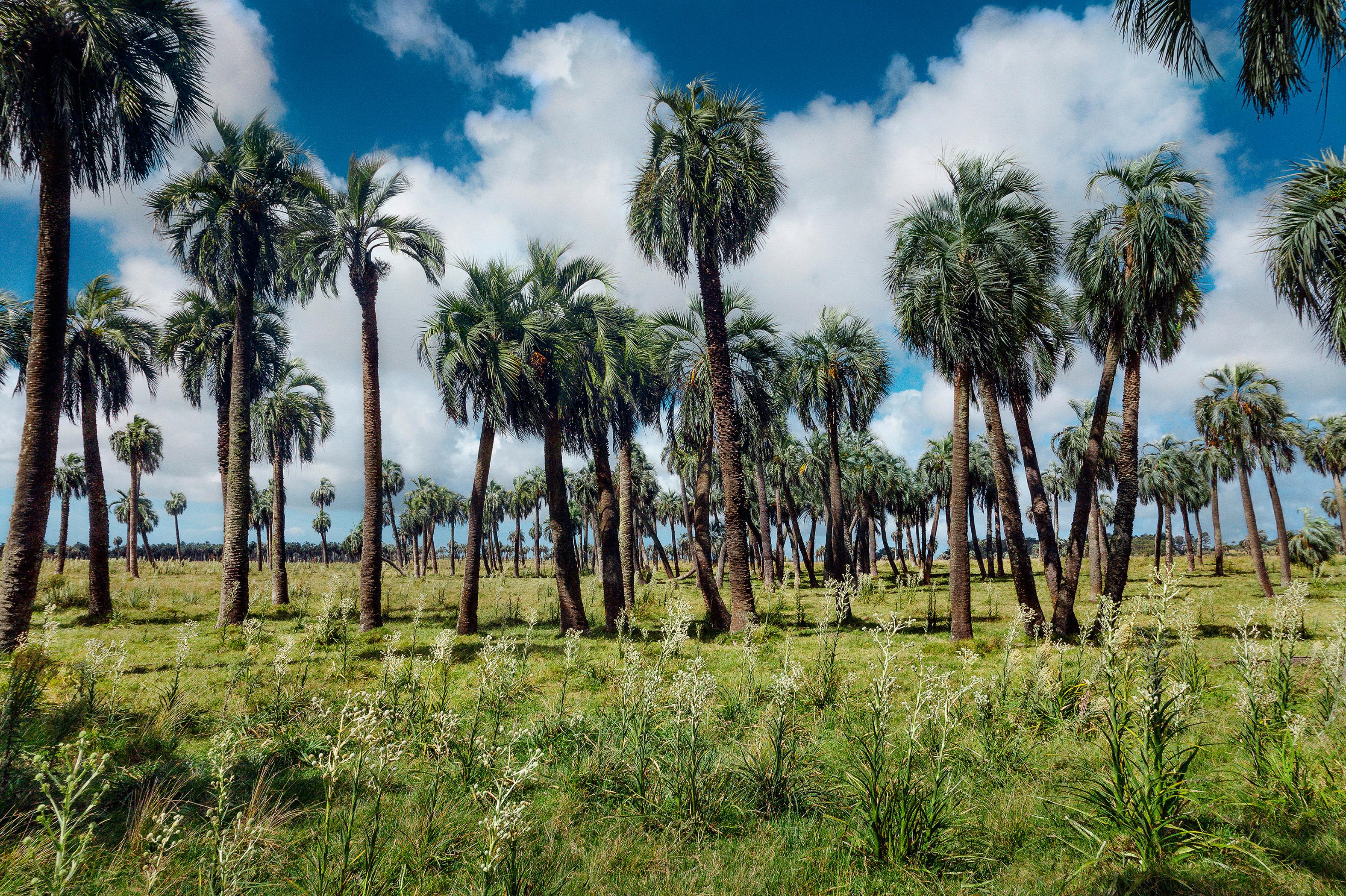 Gustavo Ten Hoever Landscape Photograph - Camino de los indios