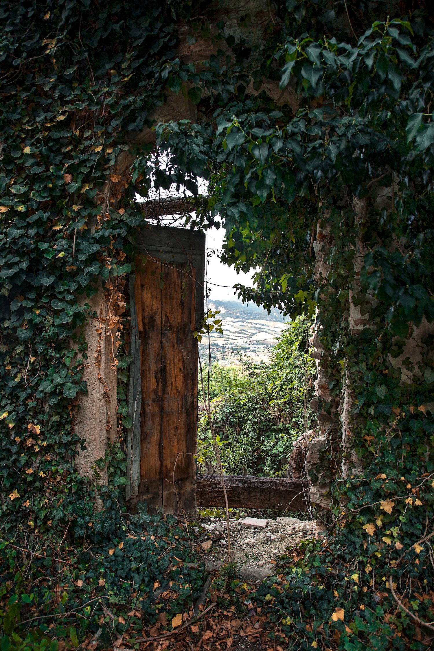Gustavo Ten Hoever Color Photograph – Wander