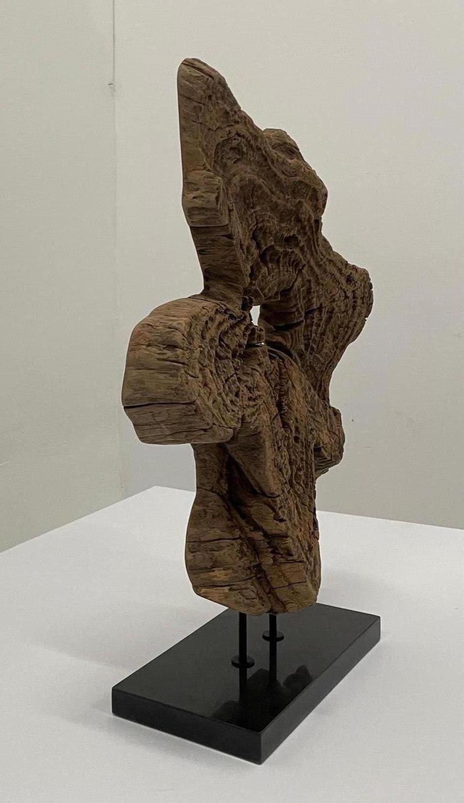 Late 20th Century Gutsy Organic Modern Amoeba Shaped Wood Sculpture with Granite Base