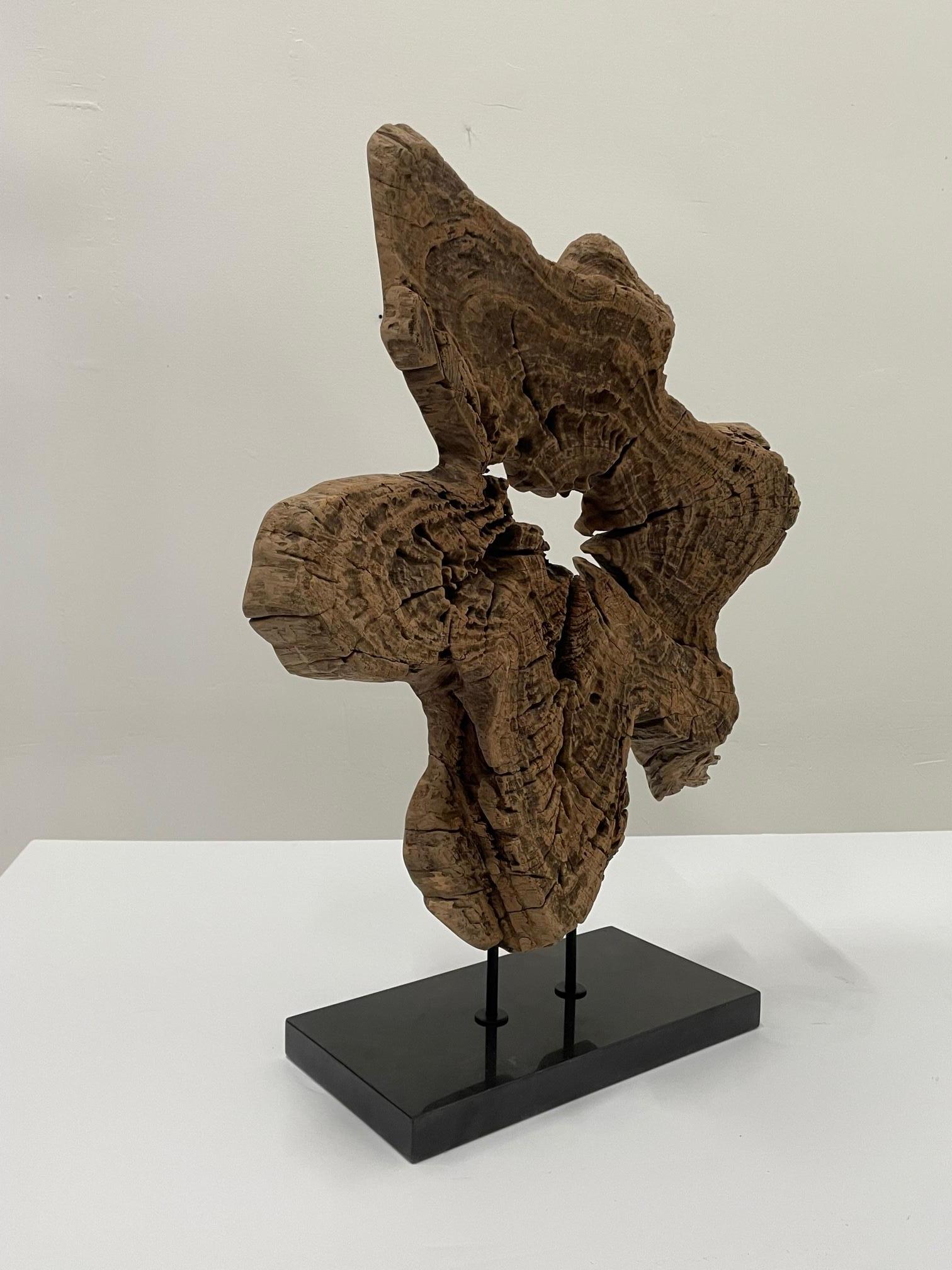 Gutsy Organic Modern Amoeba Shaped Wood Sculpture with Granite Base 1