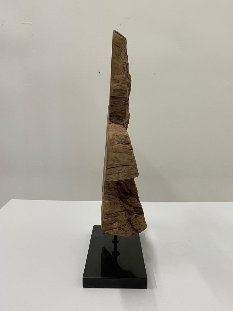 Gutsy Organic Modern Amoeba Shaped Wood Sculpture with Granite Base For ...