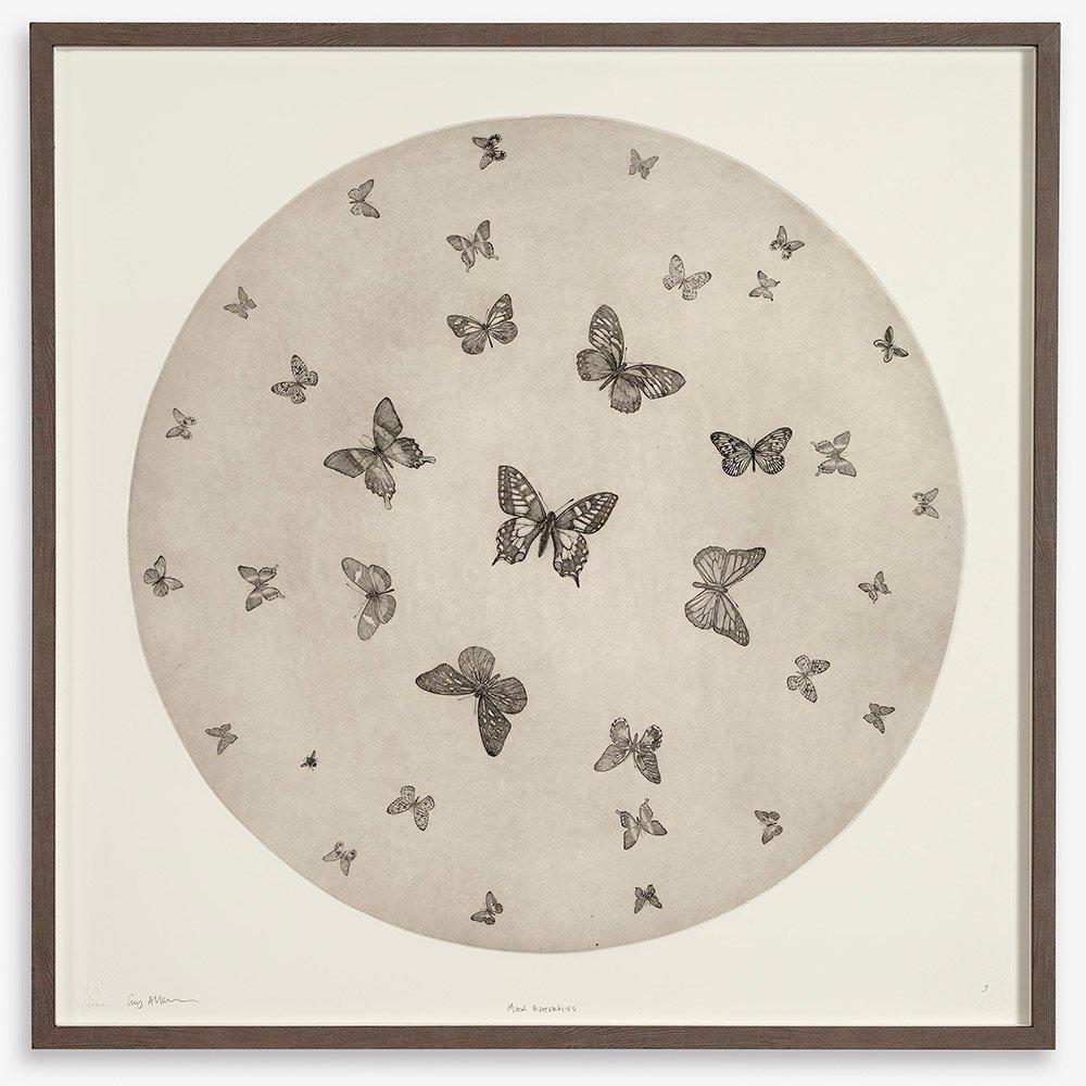 A rabble of butterflies

Guy Allen’s etchings inspired by the fauna of Norfolk have a remarkable level of detail.  His etchings capture the character and spirit of his subjects.

Signed by the artist
Edition of 75
Certificate of