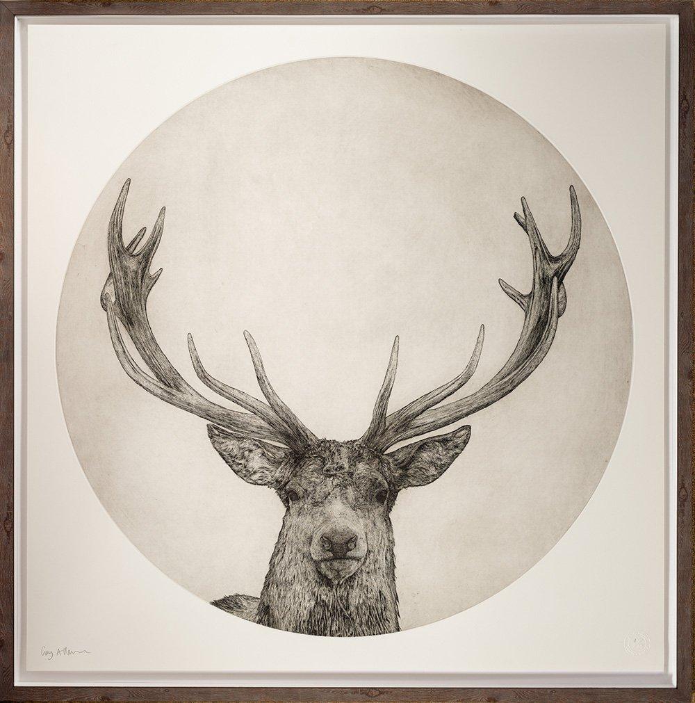 Deep in the forest, amidst the mists of dawn, a red deer stag appears… 

Guy Allen’s etchings inspired by the fauna of Norfolk have a remarkable level of detail.  His etchings capture the character and spirit of his subjects.

Signed by the