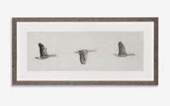 A set of four prints of animals from copper plate etching by Guy Allen.  Framed