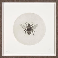Bumblebee di Guy Allen.  Stampa da incisione su rame.  Telaio in legno