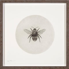 Bumblebee by Guy Allen.  Print from copperplate etching.  Wooden Frame