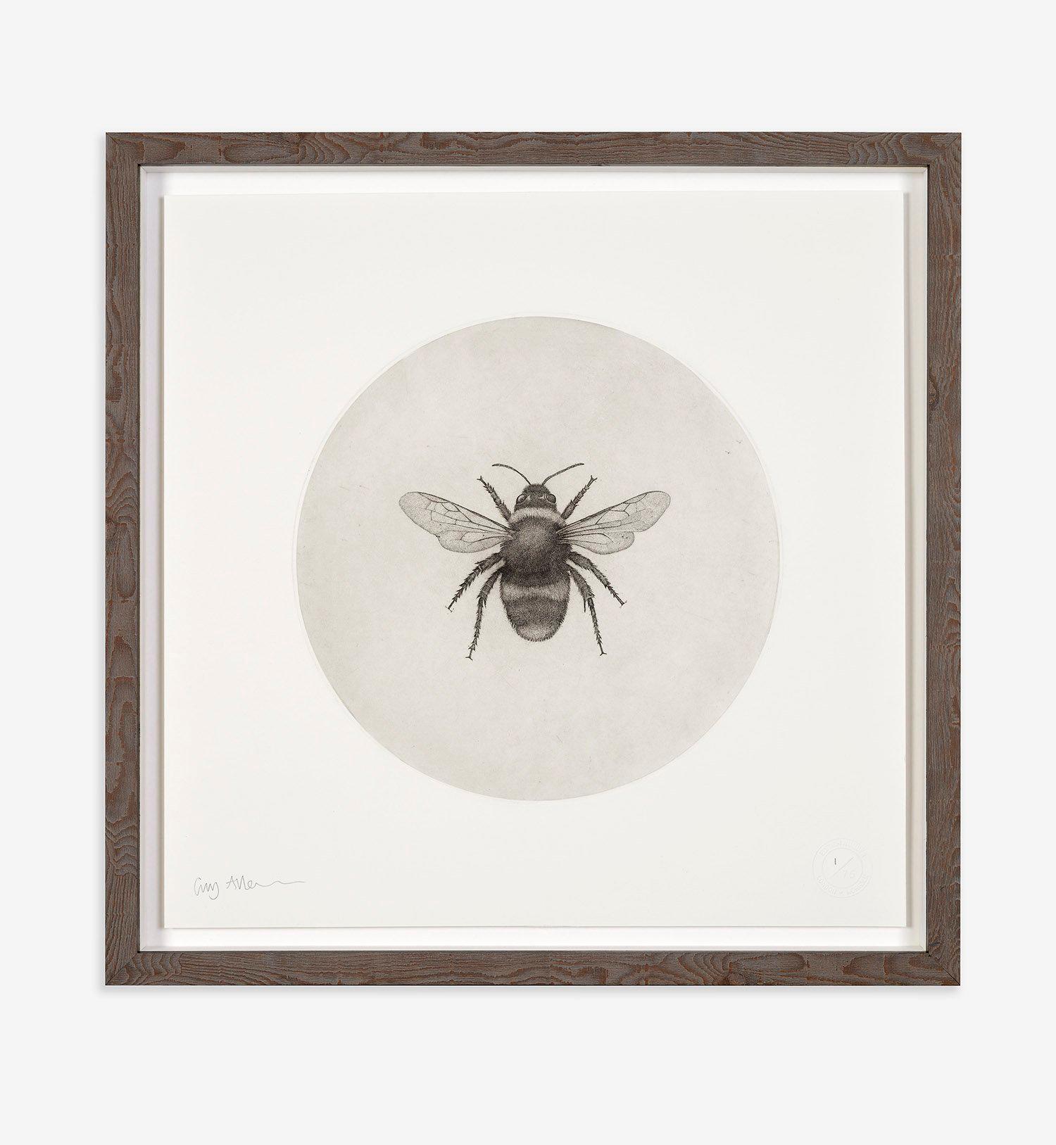 Bumblebee de Guy Allen.  Impression en édition limitée non encadrée à partir d'une gravure à l'acide en vente 1