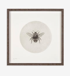 Bumblebee by Guy Allen.  Unframed limited edition print from acid etching