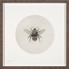 Bumblebee by Guy Allen.  Unframed limited edition print from acid etching
