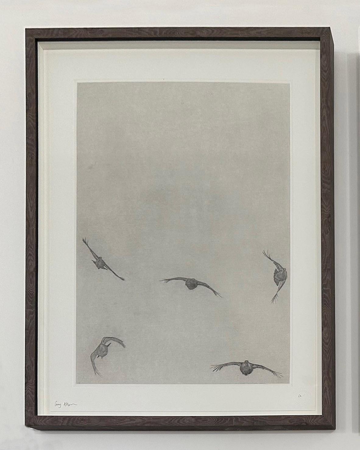 Covey of Grouse I is a celebration of game birds in flight.  A moment after taking off the birds have scattered in an explosion of aerial speed and agility.  The etching reveal the dynamism and excitement of the moment.

Guy Allen’s etchings