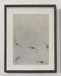 Covey of Grouse I von Guy Allen.  Ungerahmter Druck. Radierung von Wildvogel im Flug