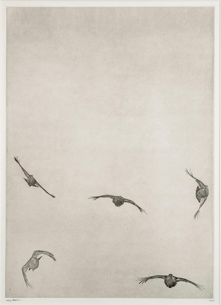 Covey of Grouse II – a celebration of birds in flight.

Guy Allen’s etchings inspired by the fauna of Norfolk have a remarkable level of detail.  His etchings capture the character and spirit of his subjects.

Etching on 300gsm Somerset paper
Year