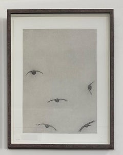 Covey of Grouse II by Guy Allen.  Print from acid etching with Wooden Frame