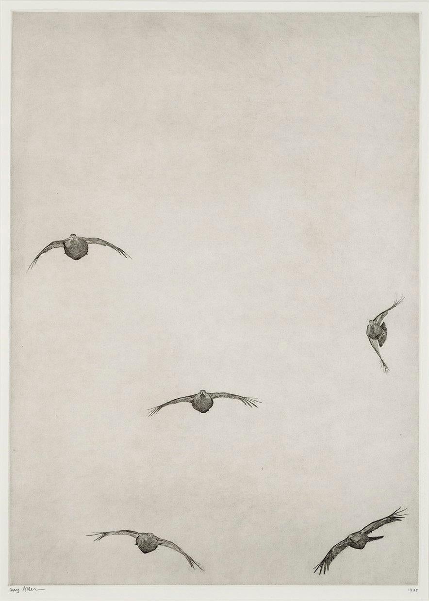 Covey of Grouse II is a celebration of game birds in flight.  A moment after taking off the birds have scattered in an explosion of aerial speed and agility.  The etching reveal the dynamism and excitement of the moment.

Guy Allen’s etchings
