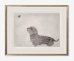 Guy Allen, Dachshund and Butterfly, Affordable Animal Art