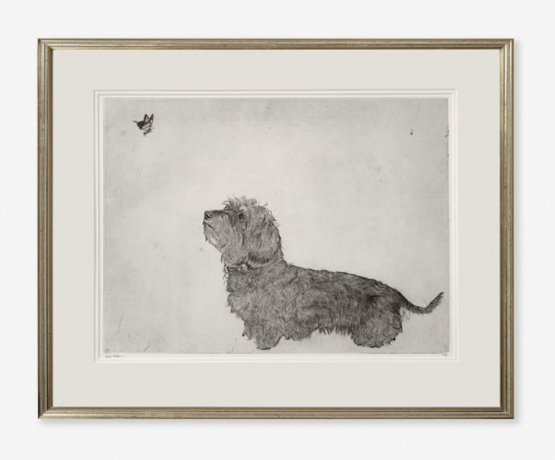Guy Allen, Dachshund and Butterfly, Affordable Animal Art, Limited Edition Print For Sale 3