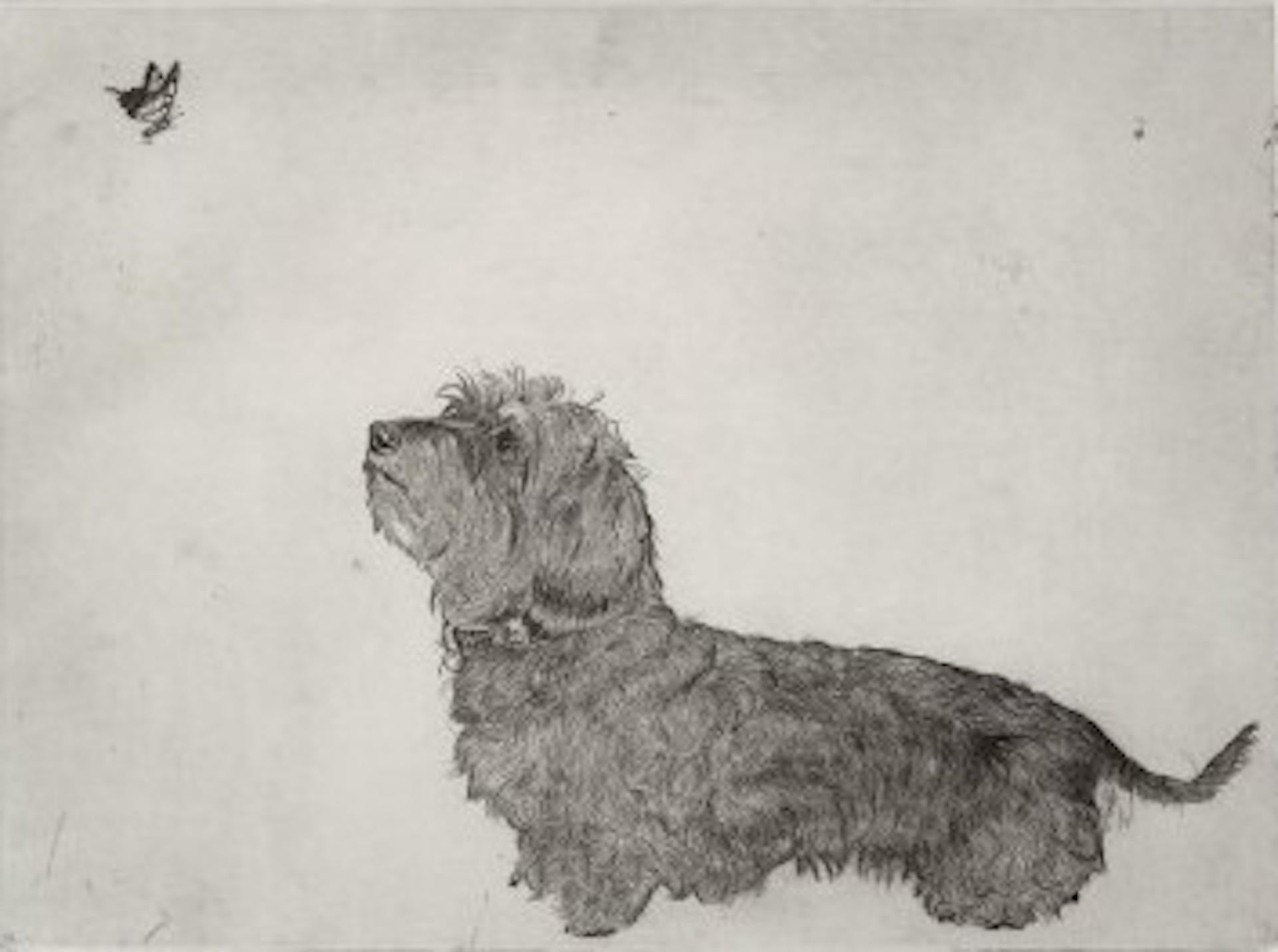 Guy Allen, Dachshund and Butterfly, Affordable Animal Art, Limited Edition Print