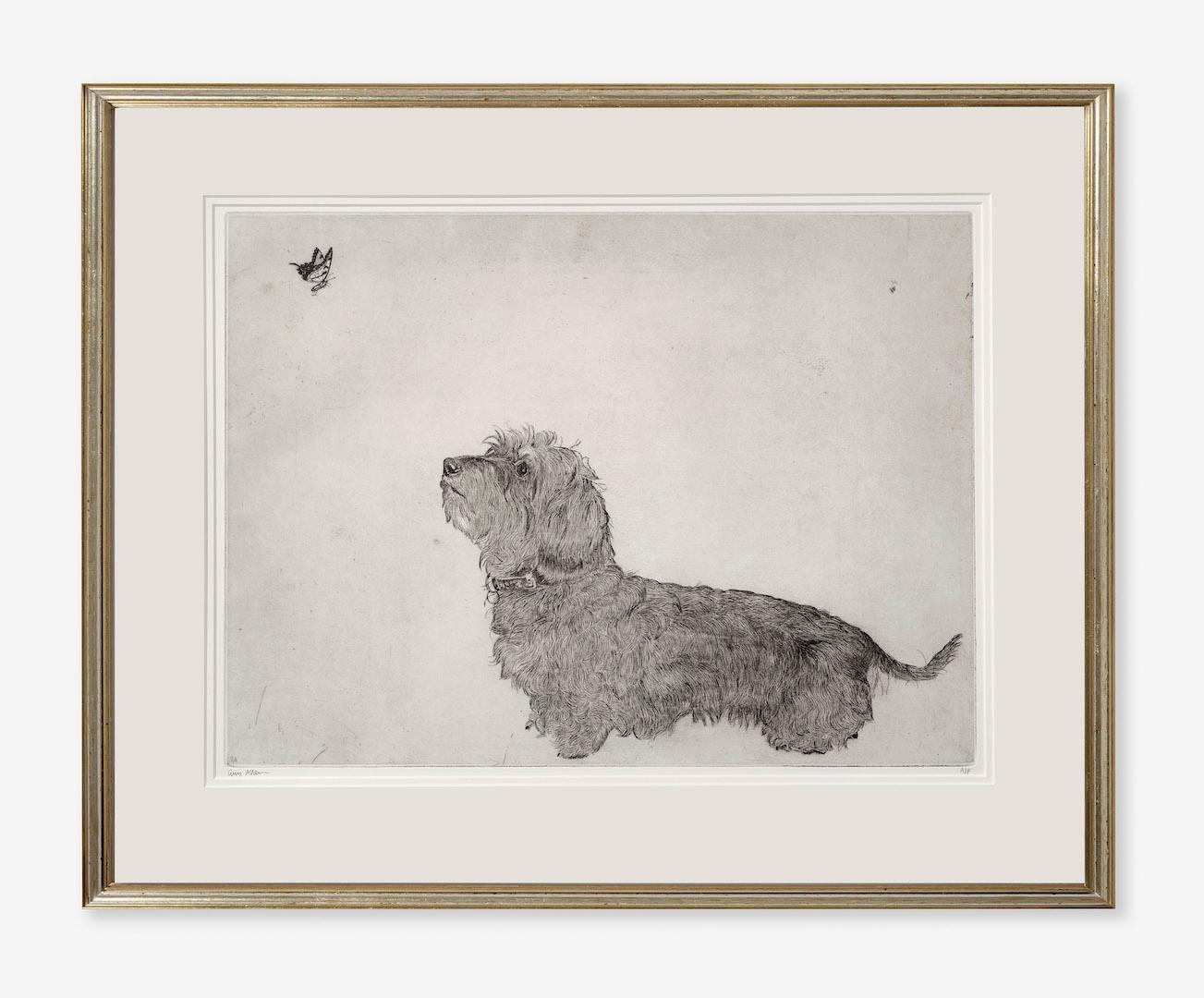 Guy Allen, Dachshund and Butterfly, Affordable Animal Art, Traditional Artwork