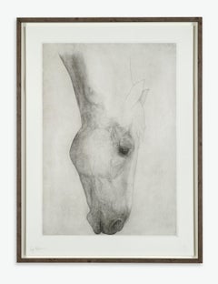 Guy Allen, Grazing Horse Study, Statement Art, Minimalist Contemporary Print