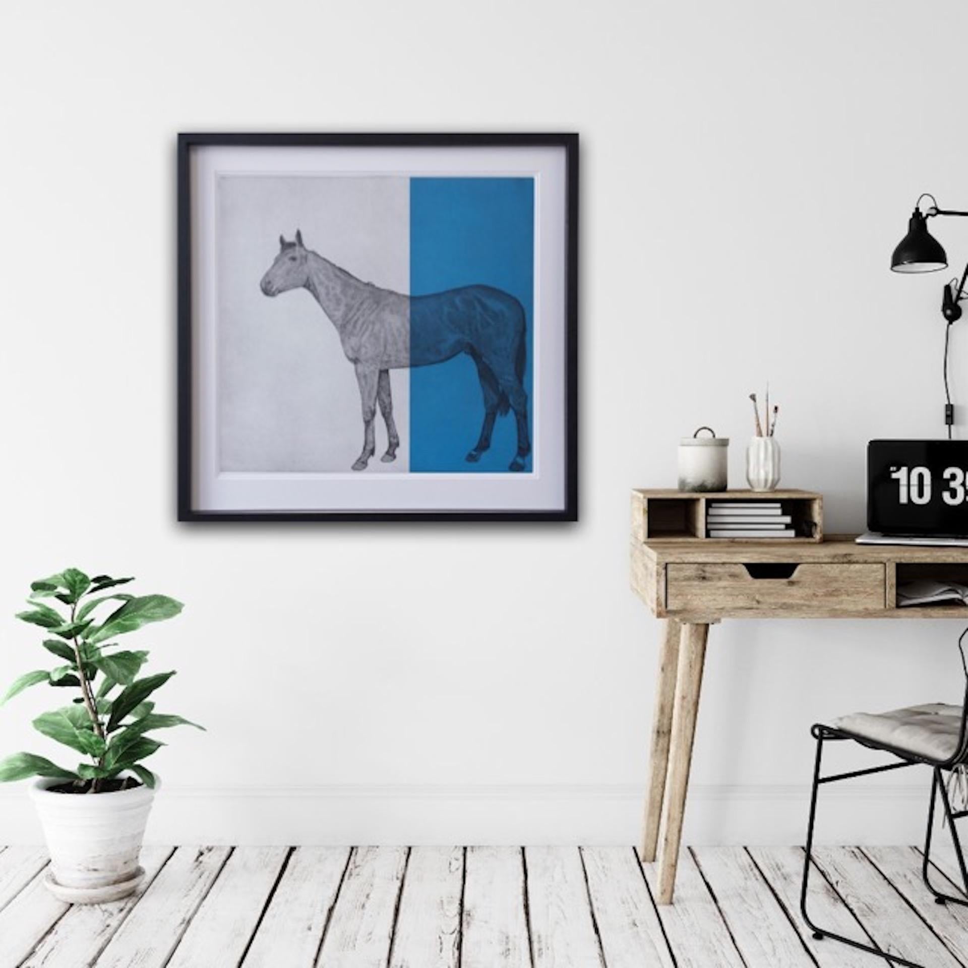 Guy Allen, Horse Study Blue, Bright Art, Etching Print, Contemporary Equine Art For Sale 1