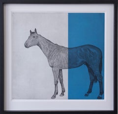 Guy Allen, Horse Study Blue, Bright Art, Etching Print, Contemporary Equine Art