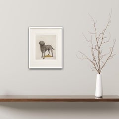 Guy Allen, Labrador y abejorro, Grabado asequible, Arte canino