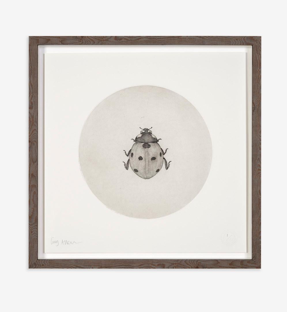 Guy Allen
LadyBird
Etching
Edition Size: 75
Year Completed: 2019
Image Size Diameter: 28 cm
Approximate framed size: H 50cm x W 50cm
Sold Unframed
(Please note that in situ images are purely an indication of how a piece may look)

Ladybird is an