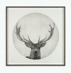Guy Allen, Moon Stag, Limited Edition Print, Animal Art, Affordable Art
