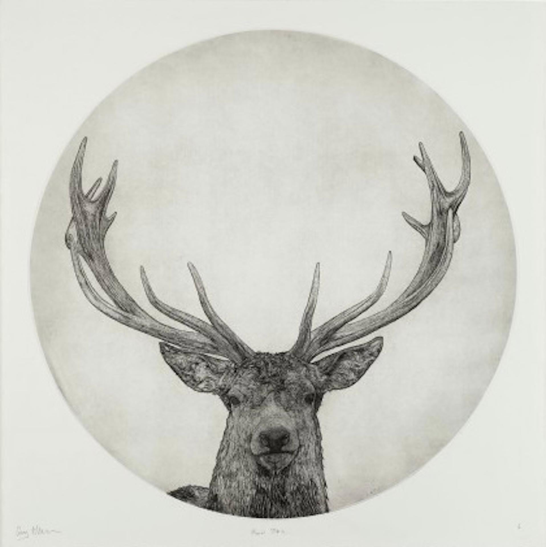 Guy Allen, cerf de lune, estampe en édition limitée, art animalier, art à prix abordable