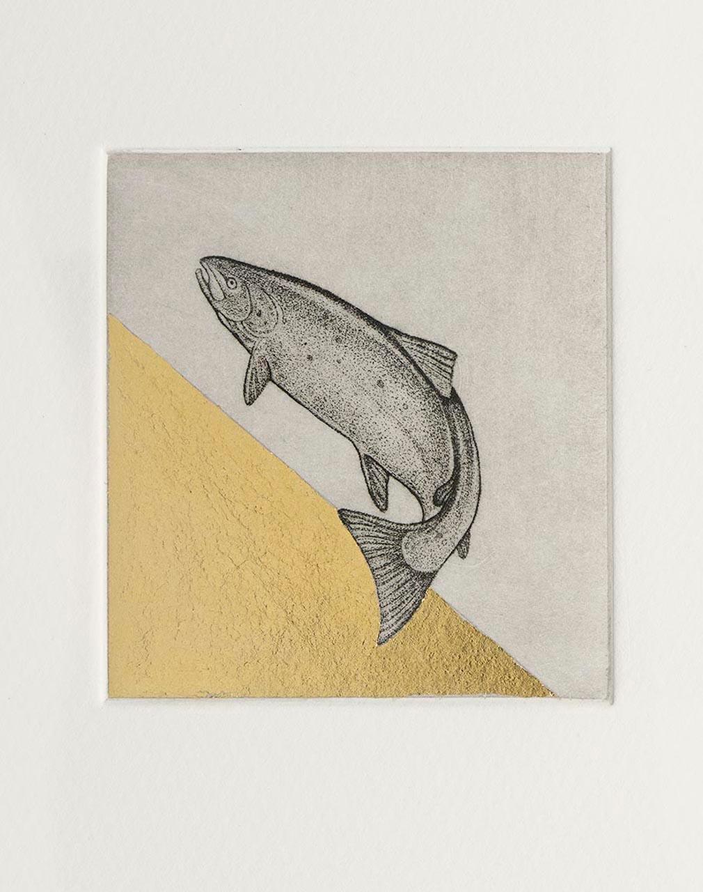 Guy Allen, Salmon Study II, Animal Art, Fish Art, Limited Edition Gold Print 2