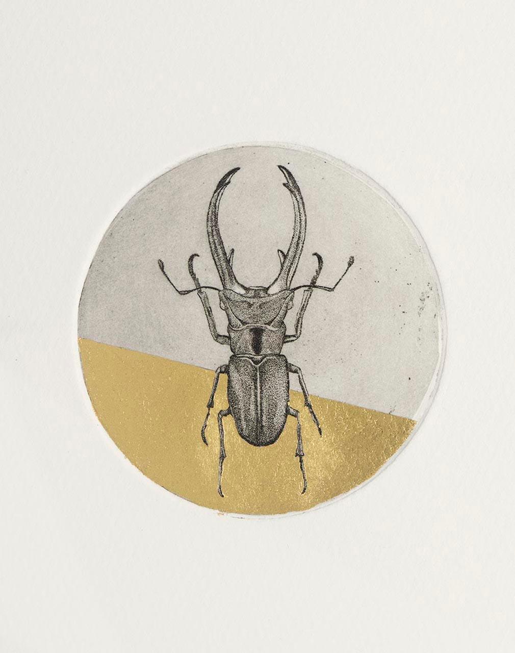 Guy Allen, Stag Beetle Study, Contemporary Animal Etching Print, Gold Art 2