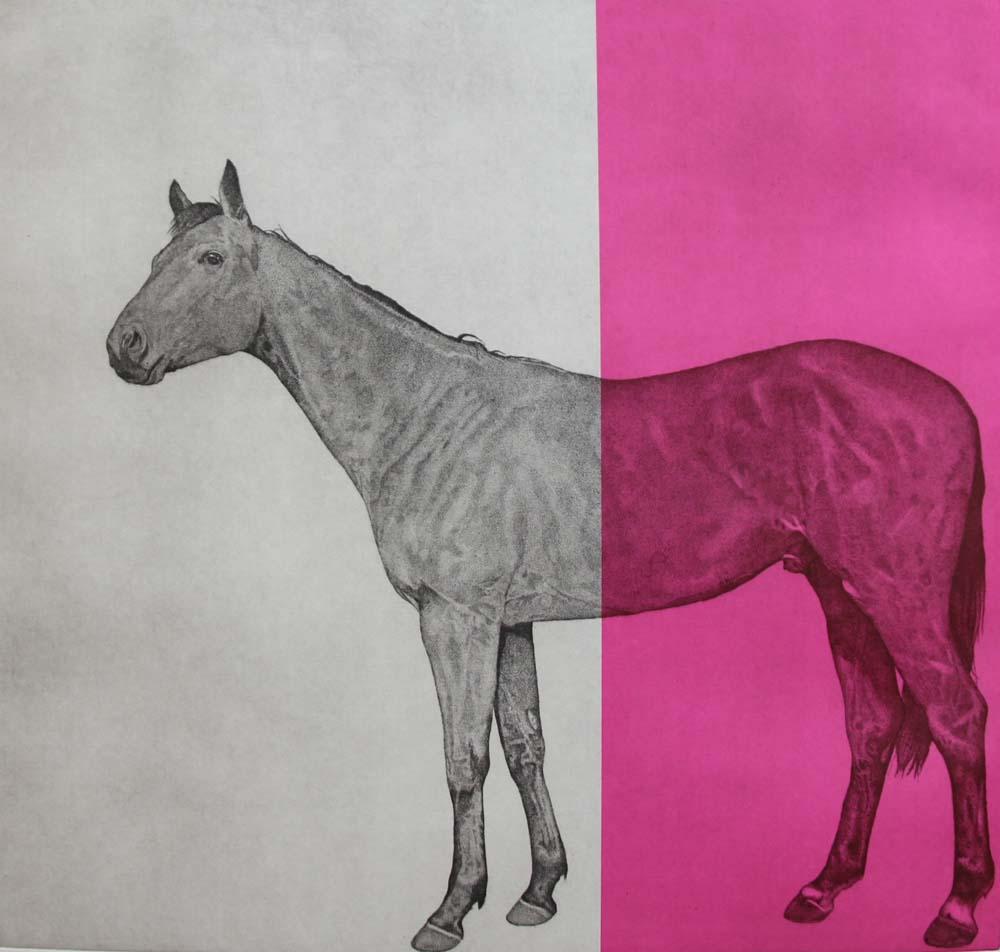 Horse Study Fuchsia and Horse Study Blue - Print by Guy Allen