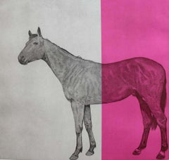 Pferdestudie Fuchsia und Pferdestudie Blau
