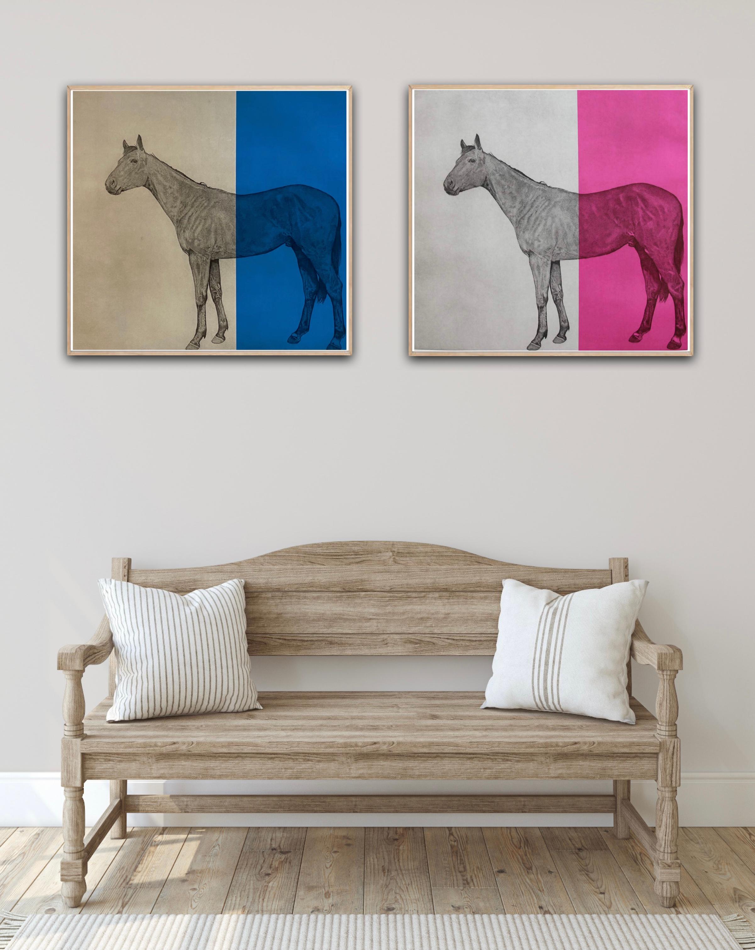 Horse Study Fuchsia and Horse Study Blue - Pink Figurative Print by Guy Allen